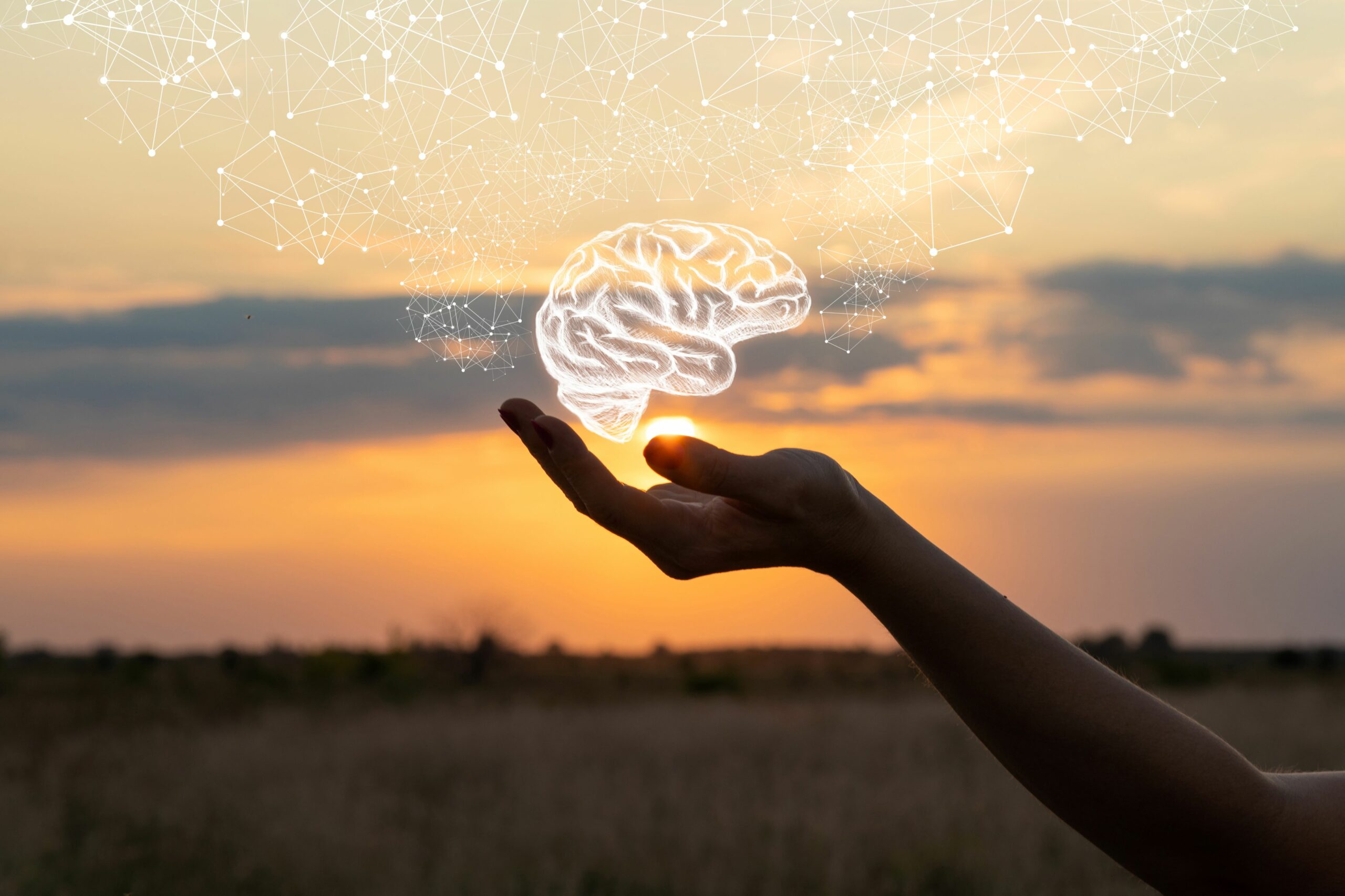 Blurred sunset in the background with a ladies arm from the elbow to the hand in the foreground. Overlaid on this is a line drawing of a brain in white and lots of line drawings of shapes above this.