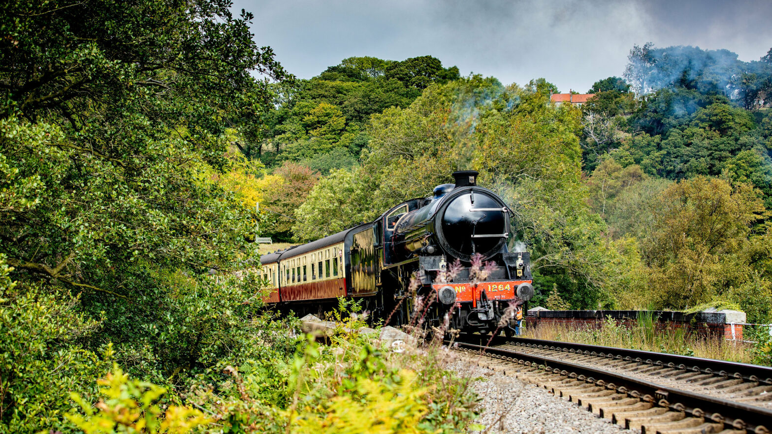 Steam train coming around the bend on a railway track with beautiful green trees and shrubs.